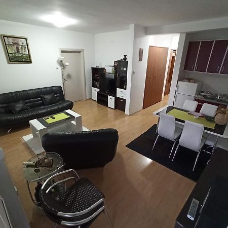 Apartman Savic Сокобаня Екстер'єр фото