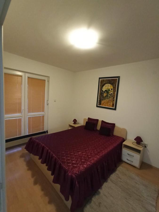 Apartman Savic Сокобаня Екстер'єр фото