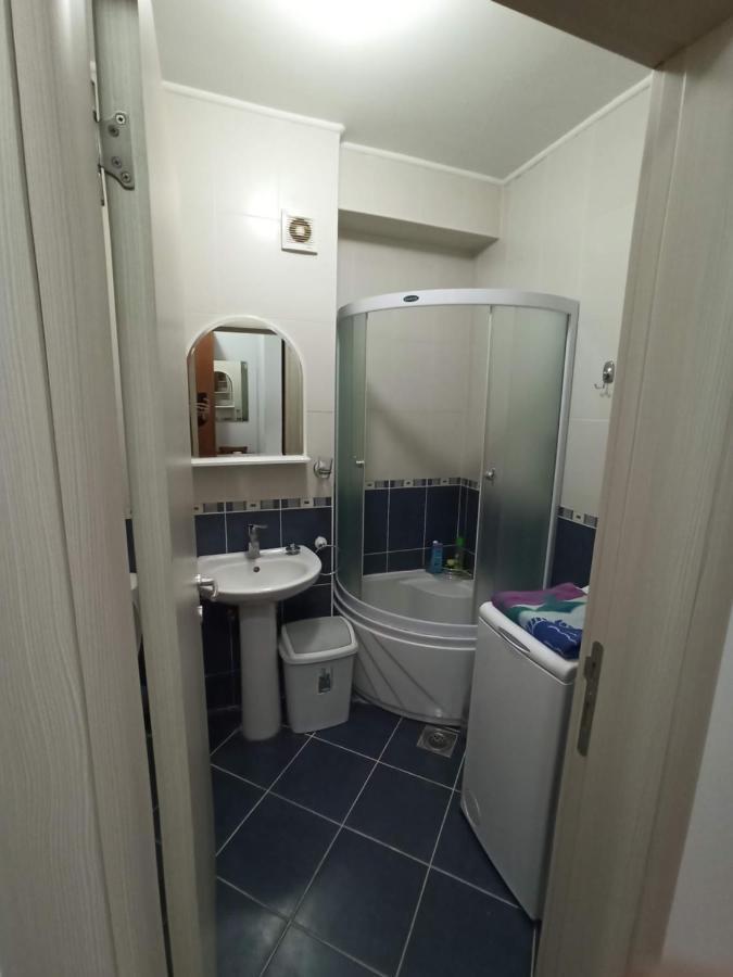 Apartman Savic Сокобаня Екстер'єр фото